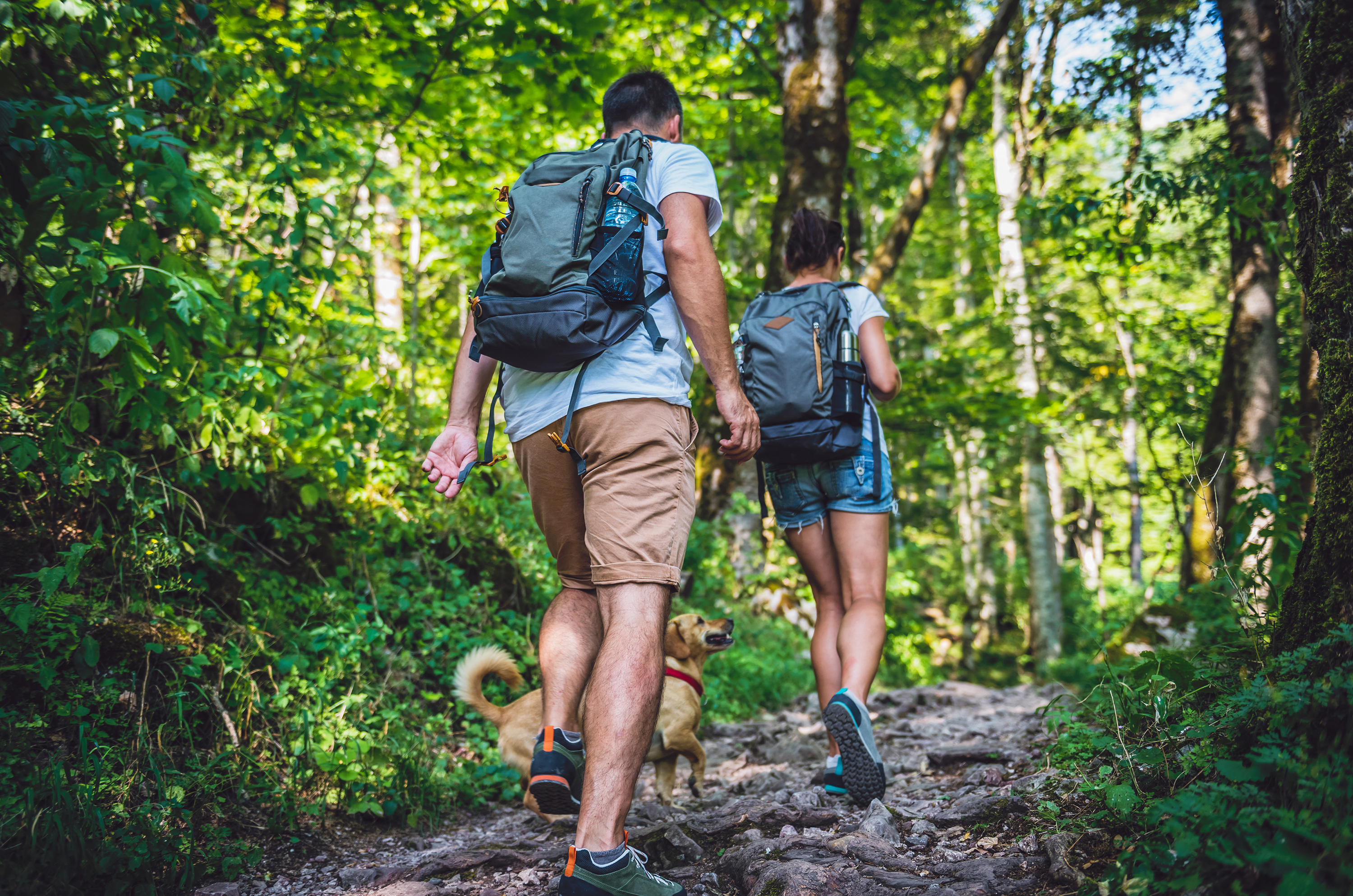 What is a long-term benefit of physical activity?
