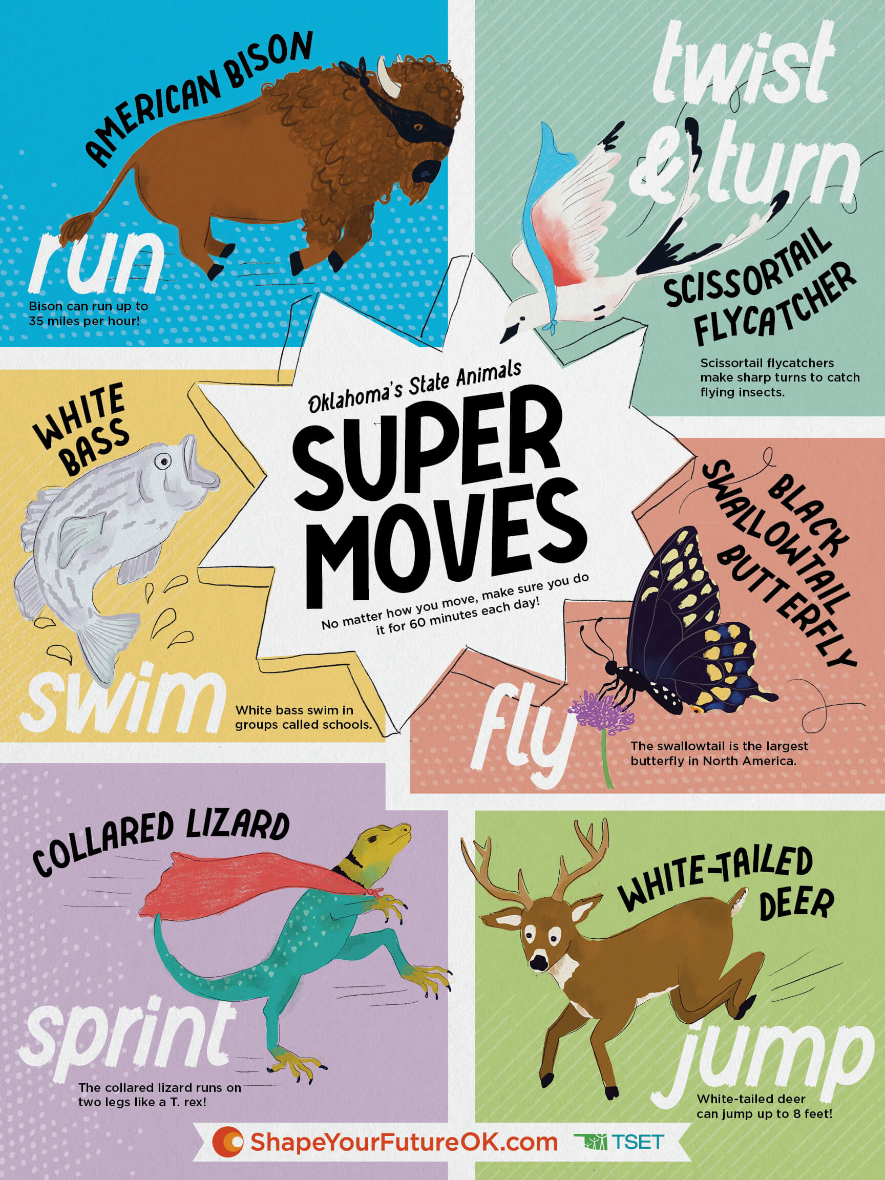 Oklahoma’s State Animals Super Moves Poster Download