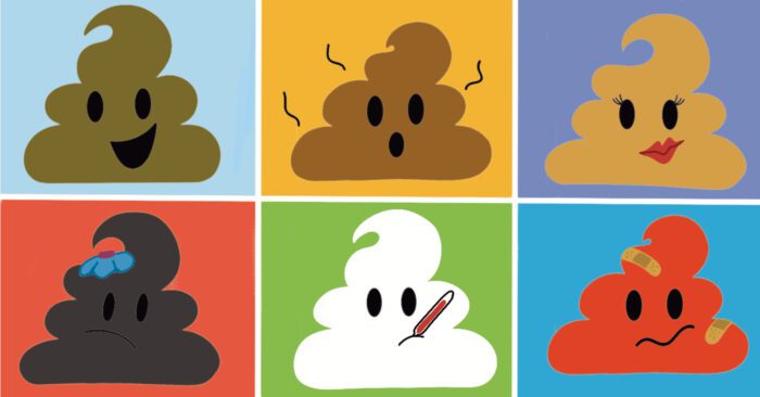 How To Talk to Your Kids About Poop with facts