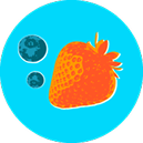 Illustrated strawberry and blueberries on a teal circle background