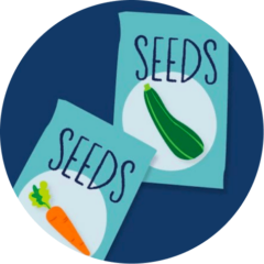 Two illustrated seed packets, one showing a carrot and one showing a zucchini.